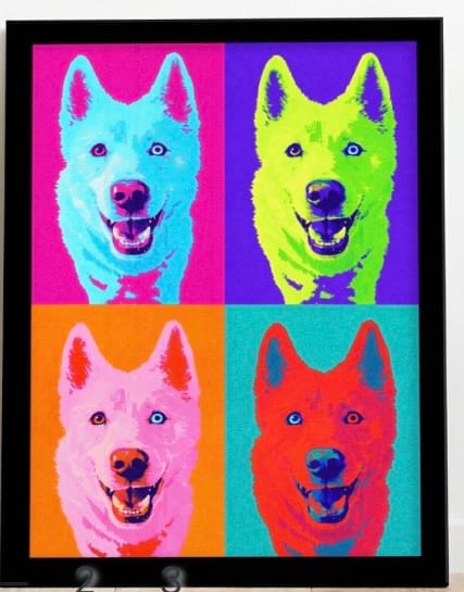Customer photo review of Color Squares - Personalized Poster