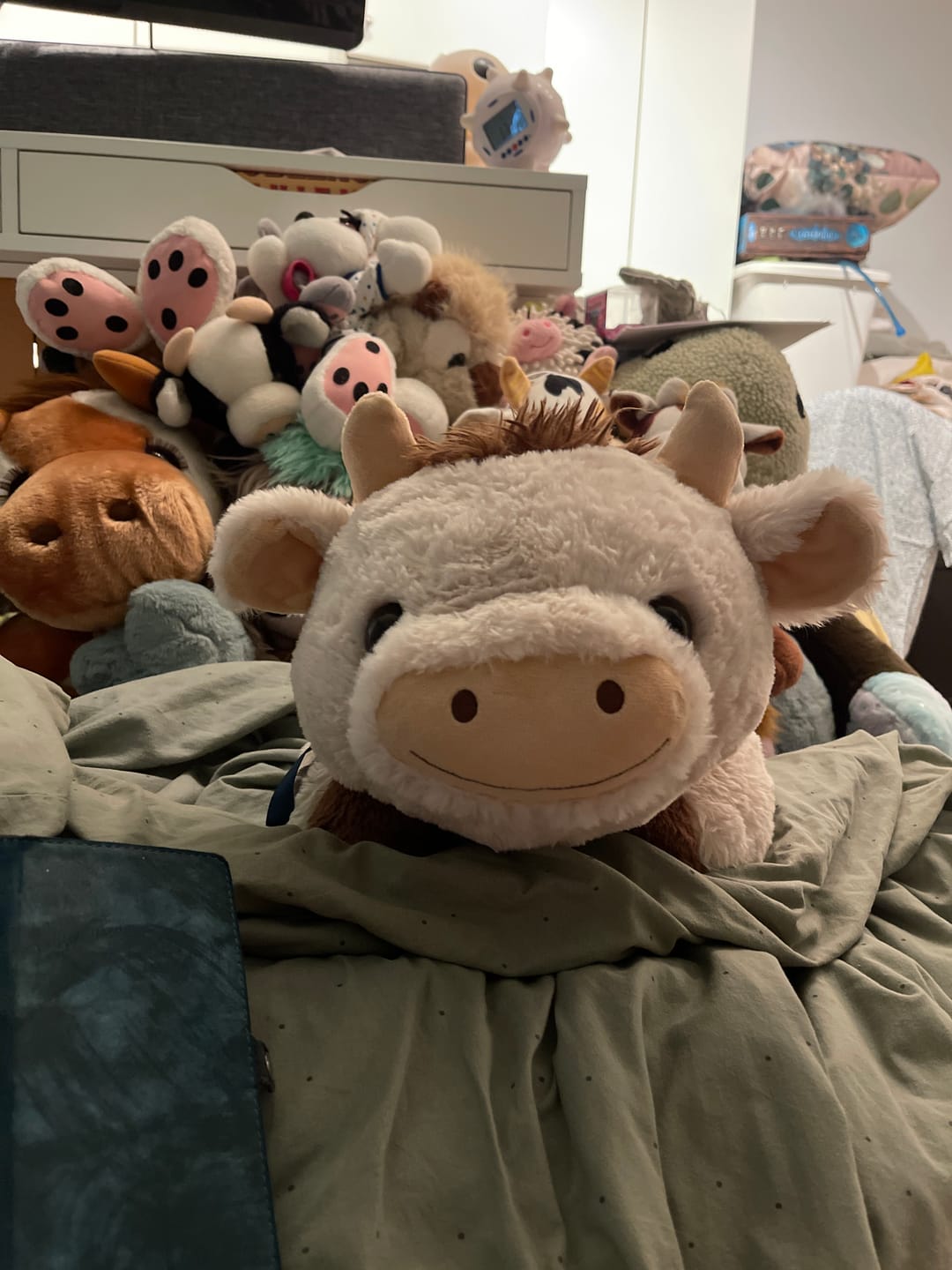 Customer photo review of Highland Cow Weighted Stuffed Animal