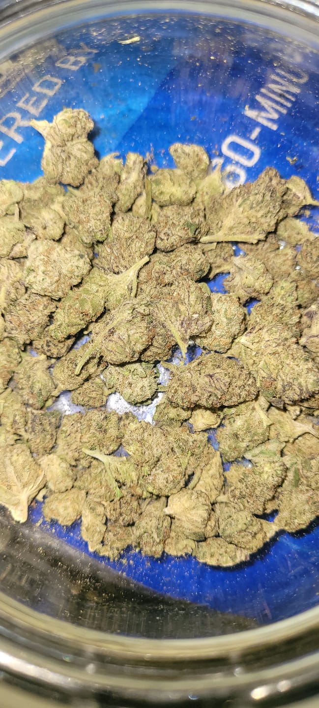 Customer photo review of Sweet ZZ - Minis - 14 Grams - Indica