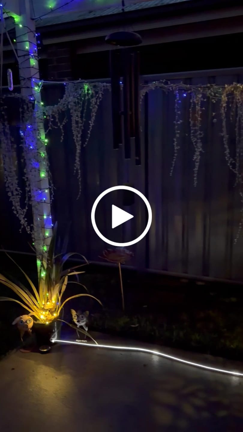 Customer video review of Solar Lights