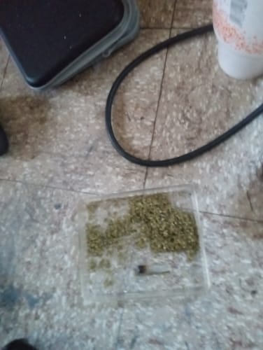 Biscotti Cake - 28 Grams - Hybrid photo review
