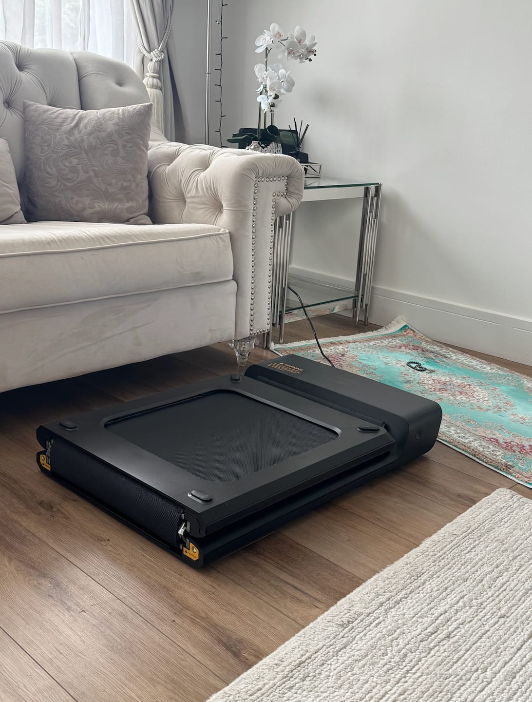 Customer photo review of WalkingPad A1 Pro