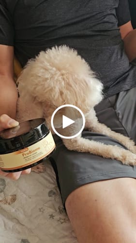 顧客對ProBiome™狗狗益生菌軟粒的影片評價
