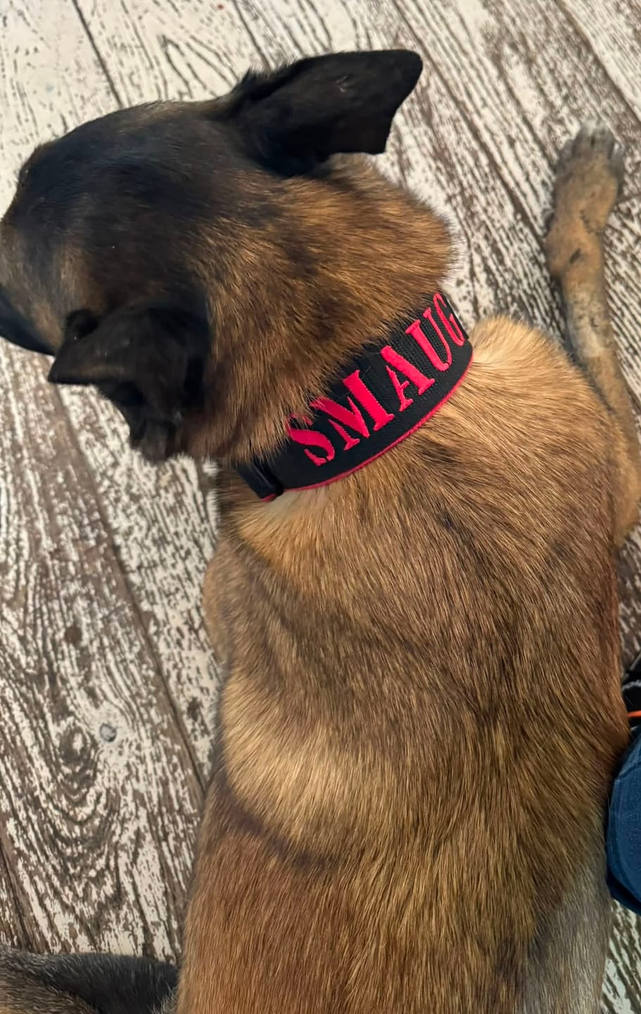 Customer photo review of Extreme Buckle med namn