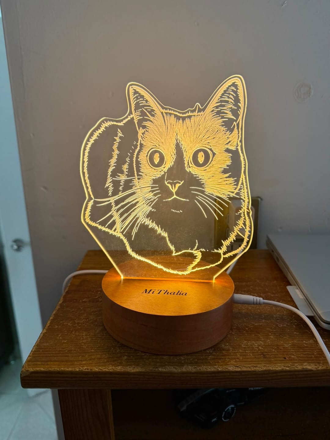 Customer photo review of Lámpara dibujo de mascota