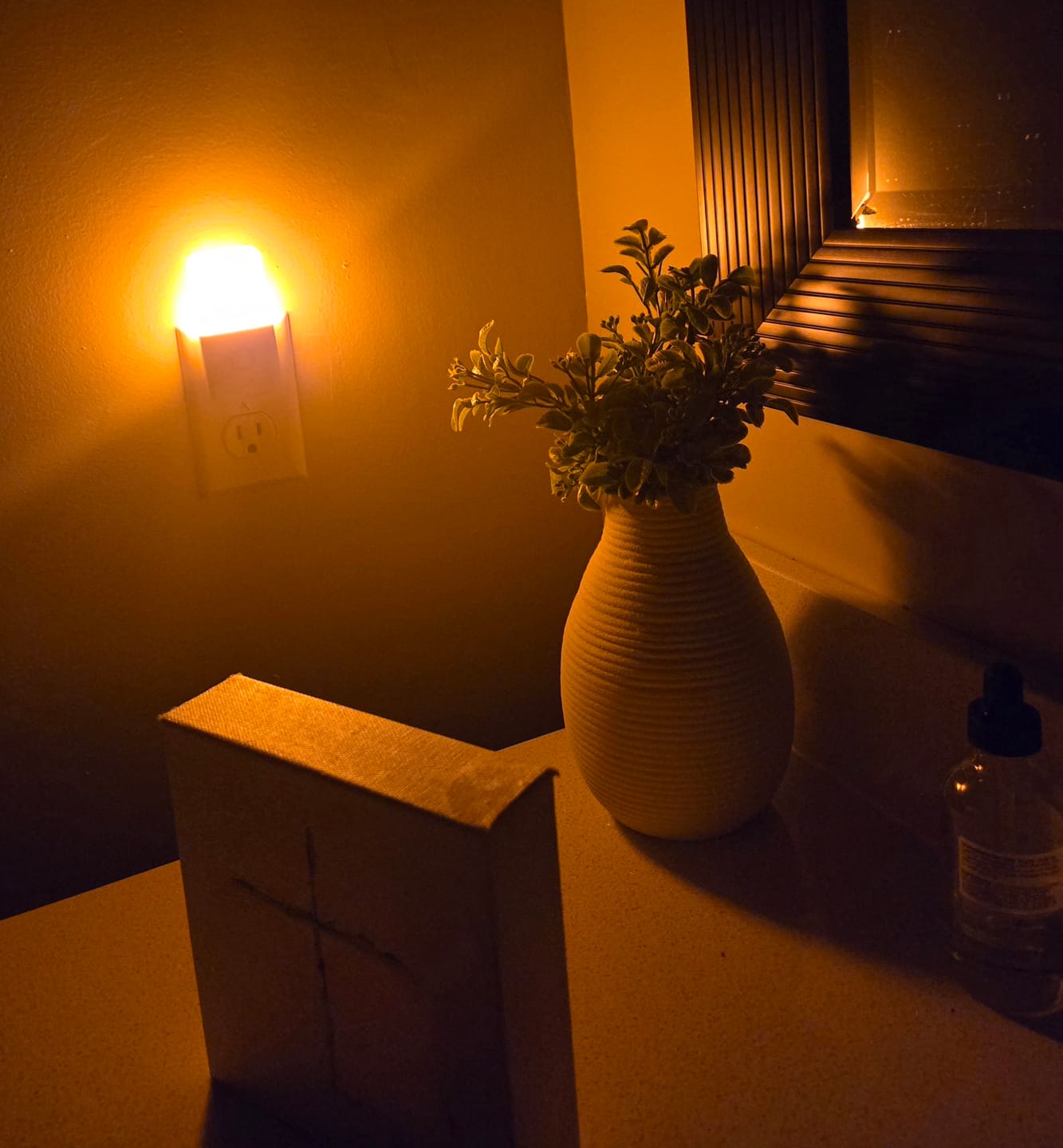 Customer photo review of Circadian Night Light