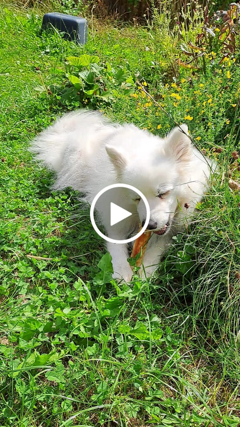 Customer video review of Lagersalg Pakke - 2