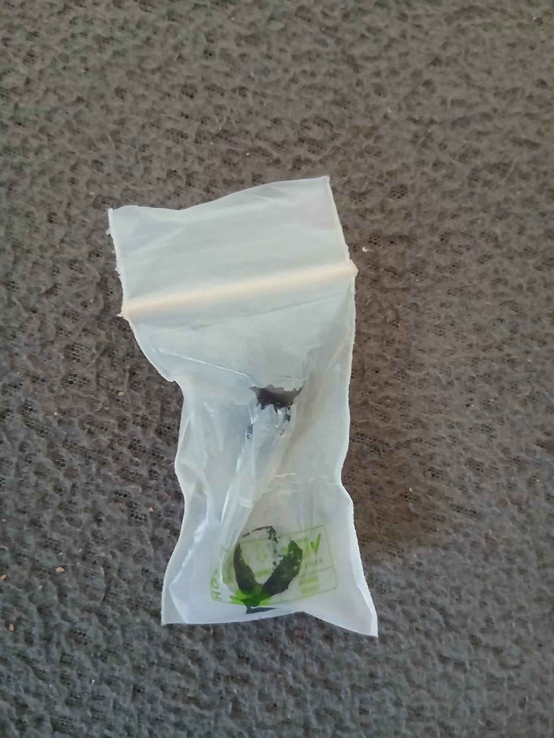 Customer photo review of 🍄 Tryp Magic Mushroom Gummies