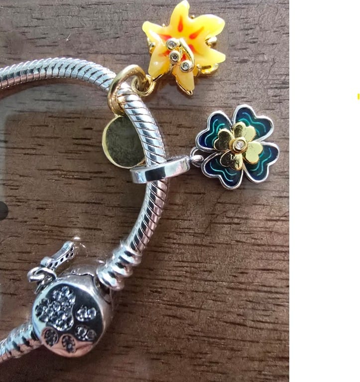 Customer photo review of Pulsera Huella de Perrito Diamantes