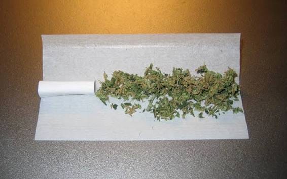 Customer photo review of Amnesia Haze PHC