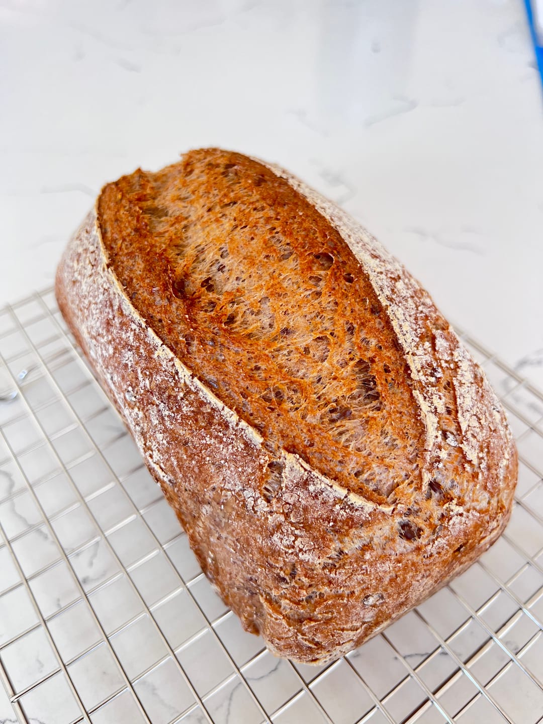 Customer photo review of Gluten Free Sourdough Starter Kit – Complete Bread Baking Kit for Beginners