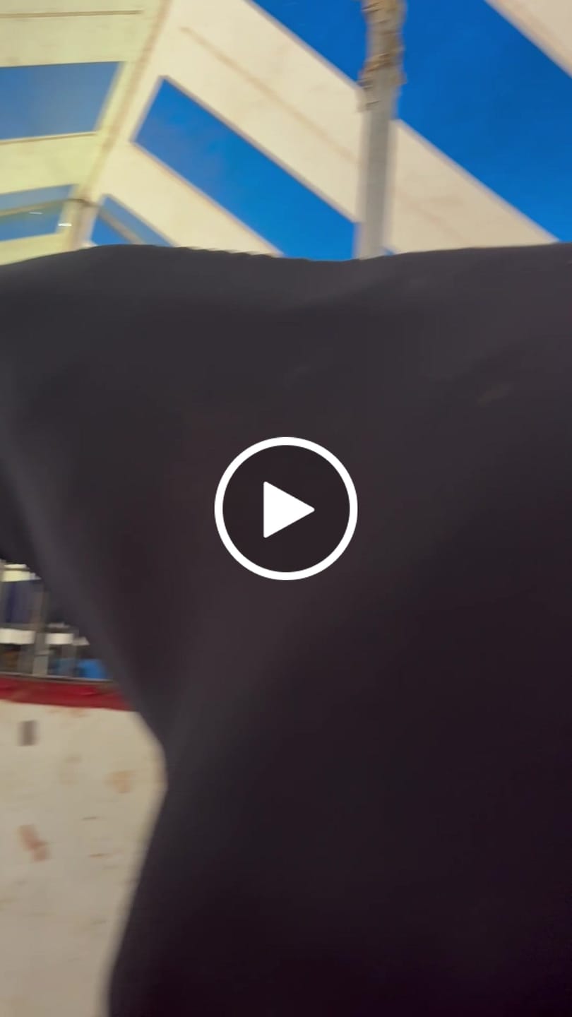 Customer video review of HorseHalo™ 8 Heads Red Light Massage Gun