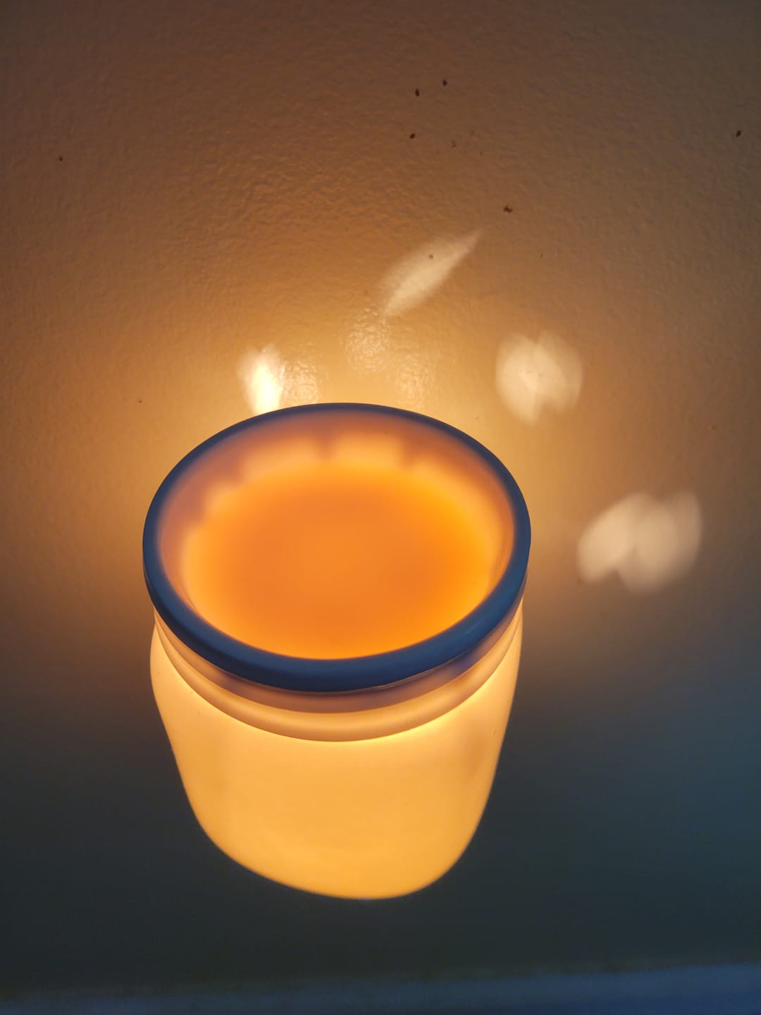 Customer photo review of Wild Lilacs Wax Melt | 5.5 oz Melt