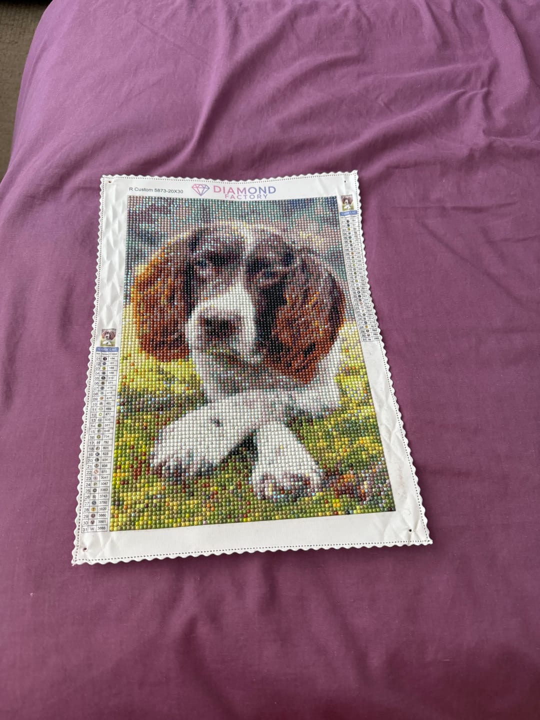 Customer photo review of Custom Diamond Painting Kit