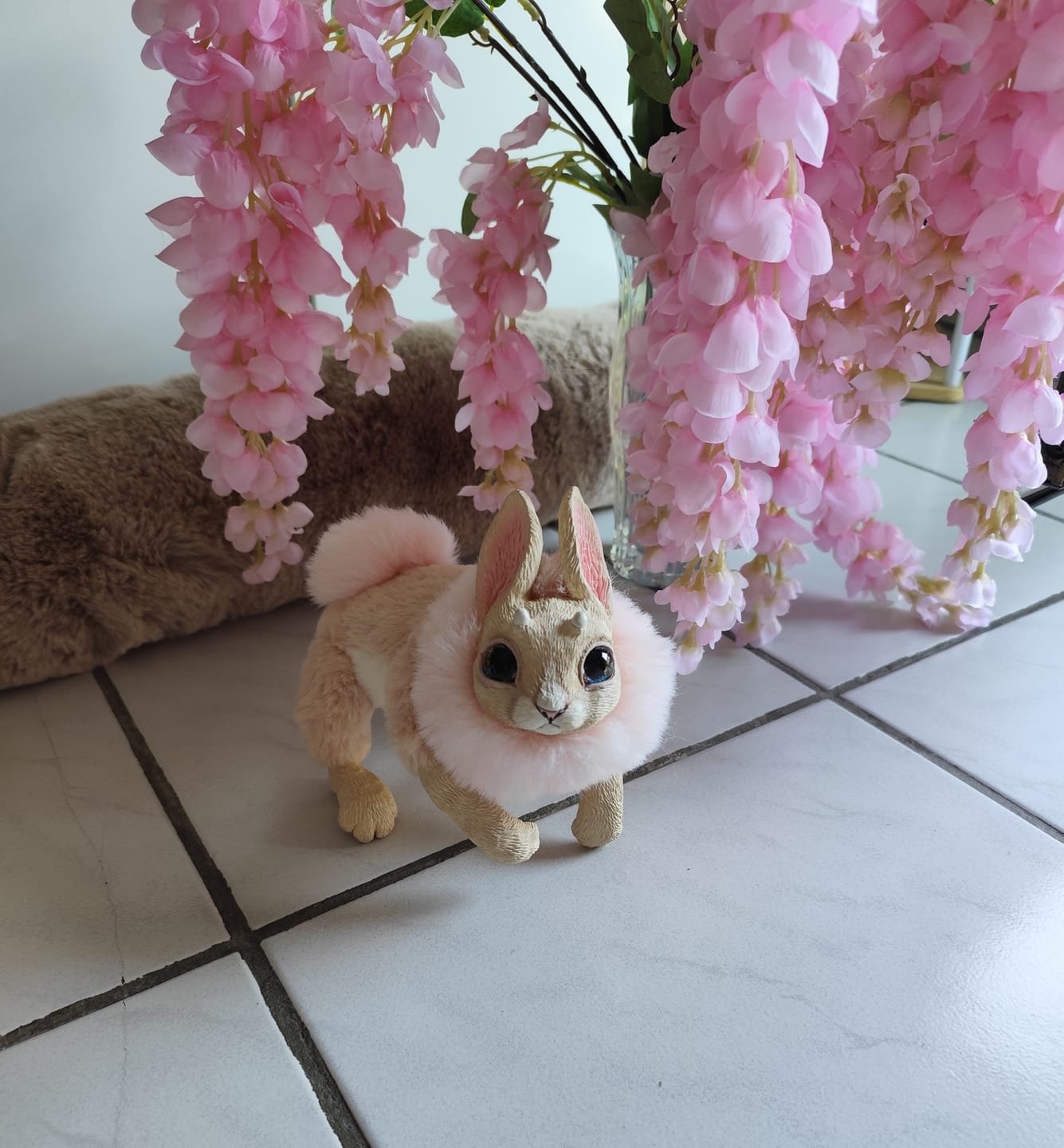 Customer photo review of Sunny bunny