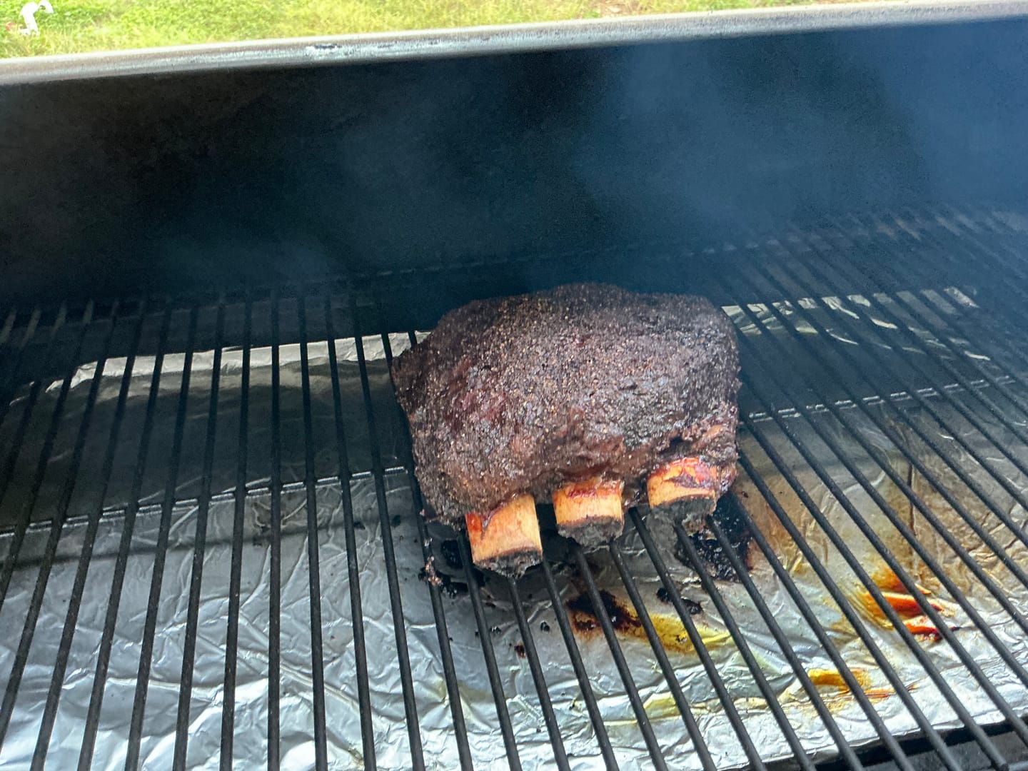 Customer photo review of Buy 2 Beef Plate Ribs, Get 1 FREE + Holy Cow Seasoning