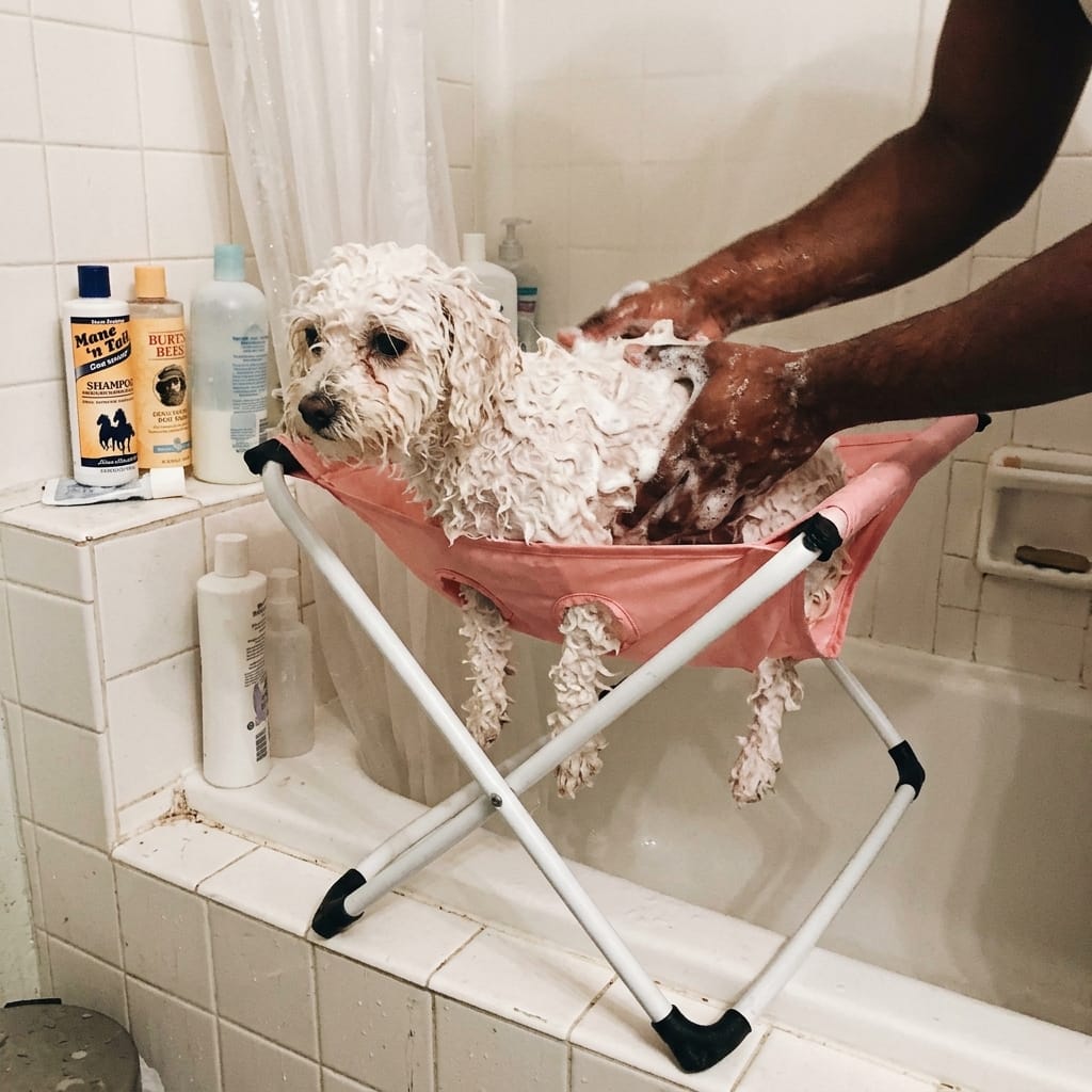 Customer photo review of Pawrelia™ Grooming Hammock Stand