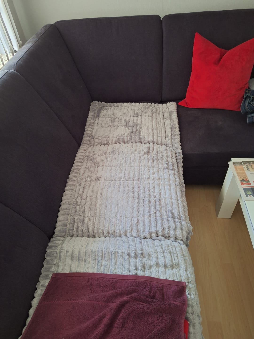 Customer photo review of PetLounge I Premium Sofa-Schutz