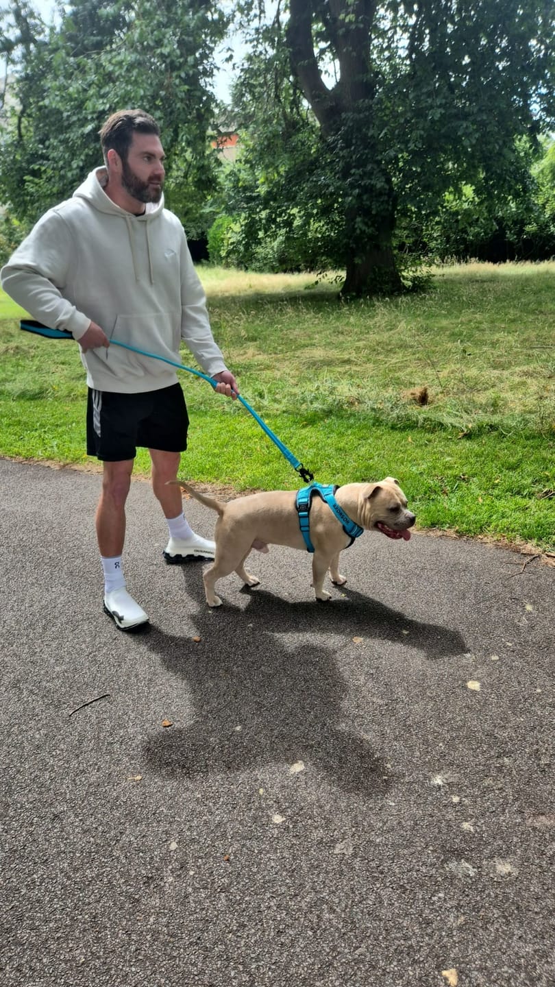 Customer photo review of Comfort Premium Harness | Non Restrictive - Light Blue