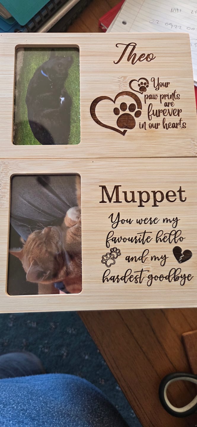 Customer photo review of Pet Memorial - You Were My Favourite Hello And My Hardest Goodbye - Personalised.