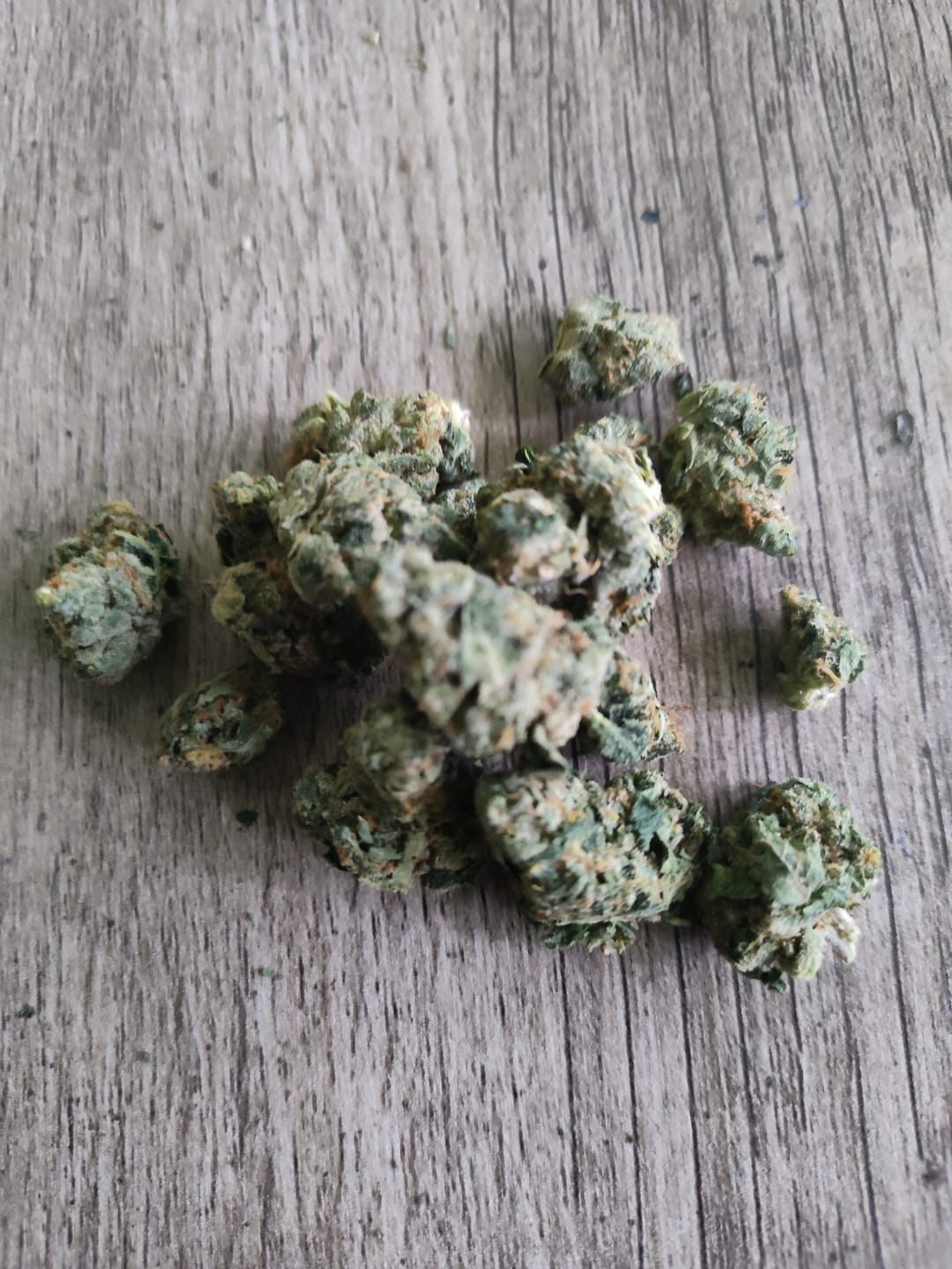 Customer photo review of OG Kush THCA Flower (Budget)