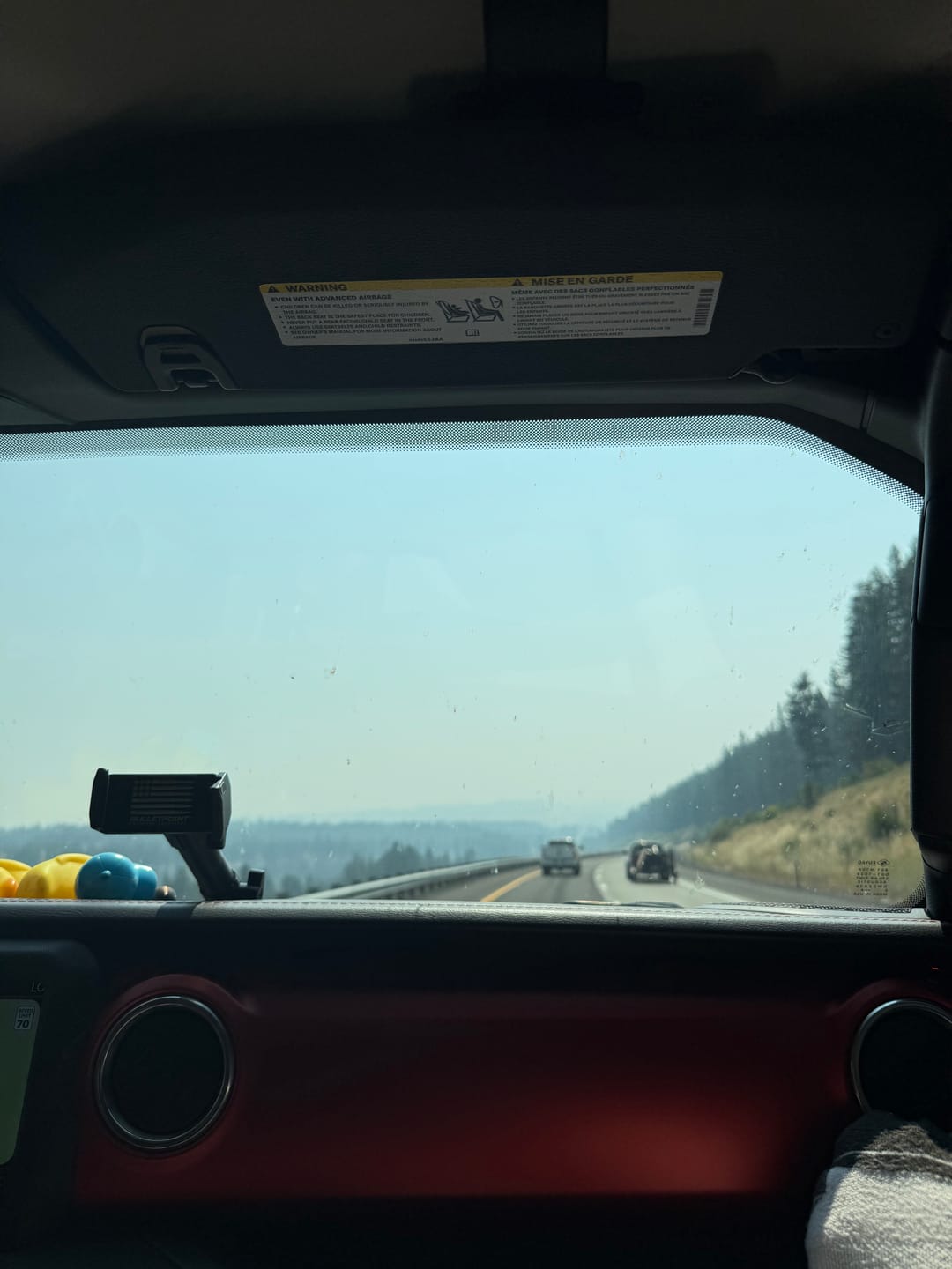 Customer photo review of BLACKLINE® RESET INTERIOR CLEANER & SCENT BOOSTER
