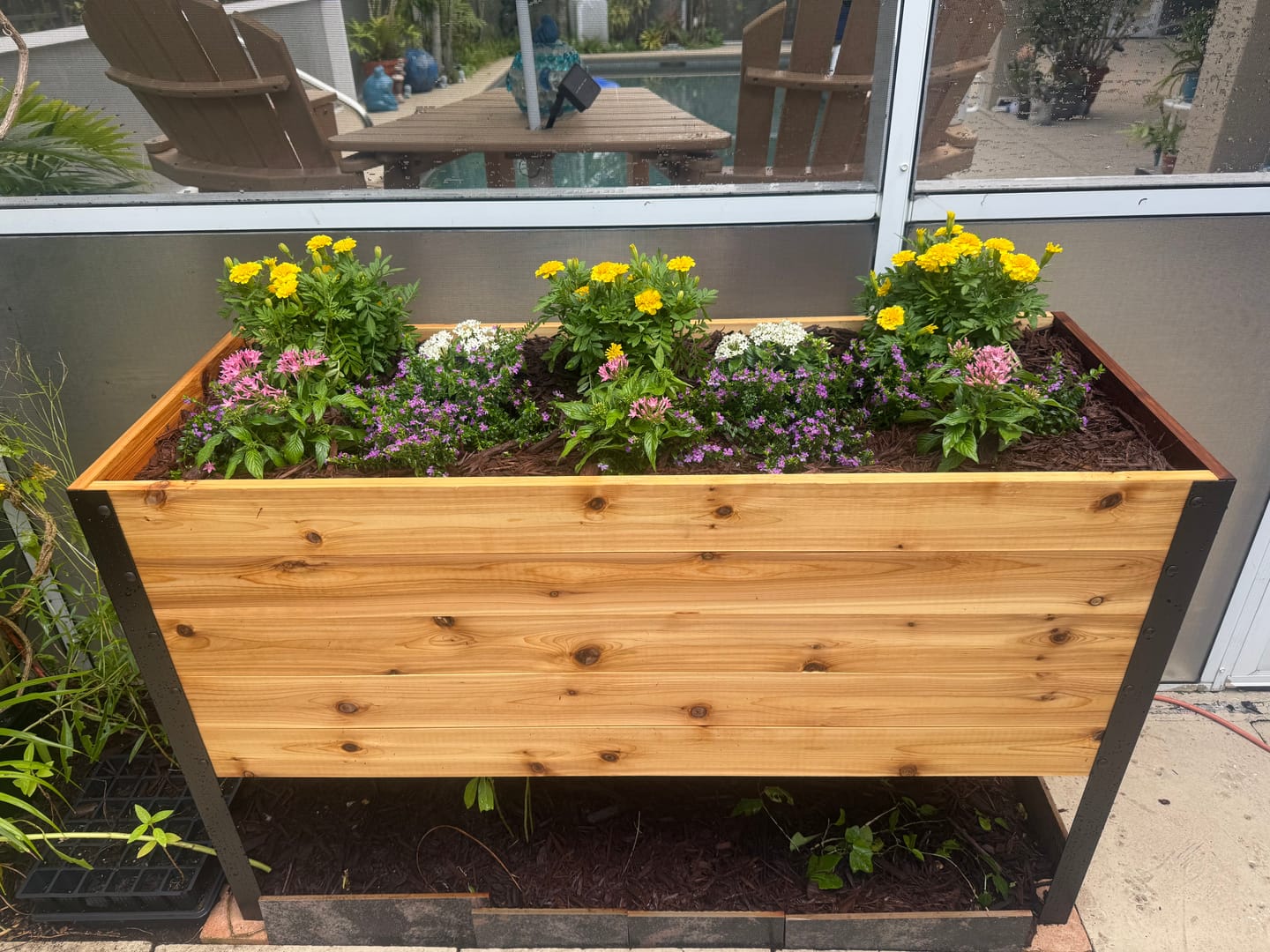 Customer photo review of Anniversary Sale | 18” x 48” Deep Root Raised Garden Bed