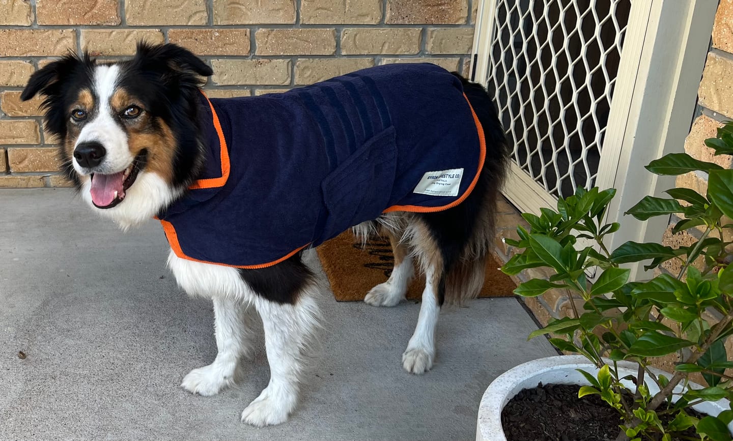 Customer photo review of The Dry & Cosy Dog Coat