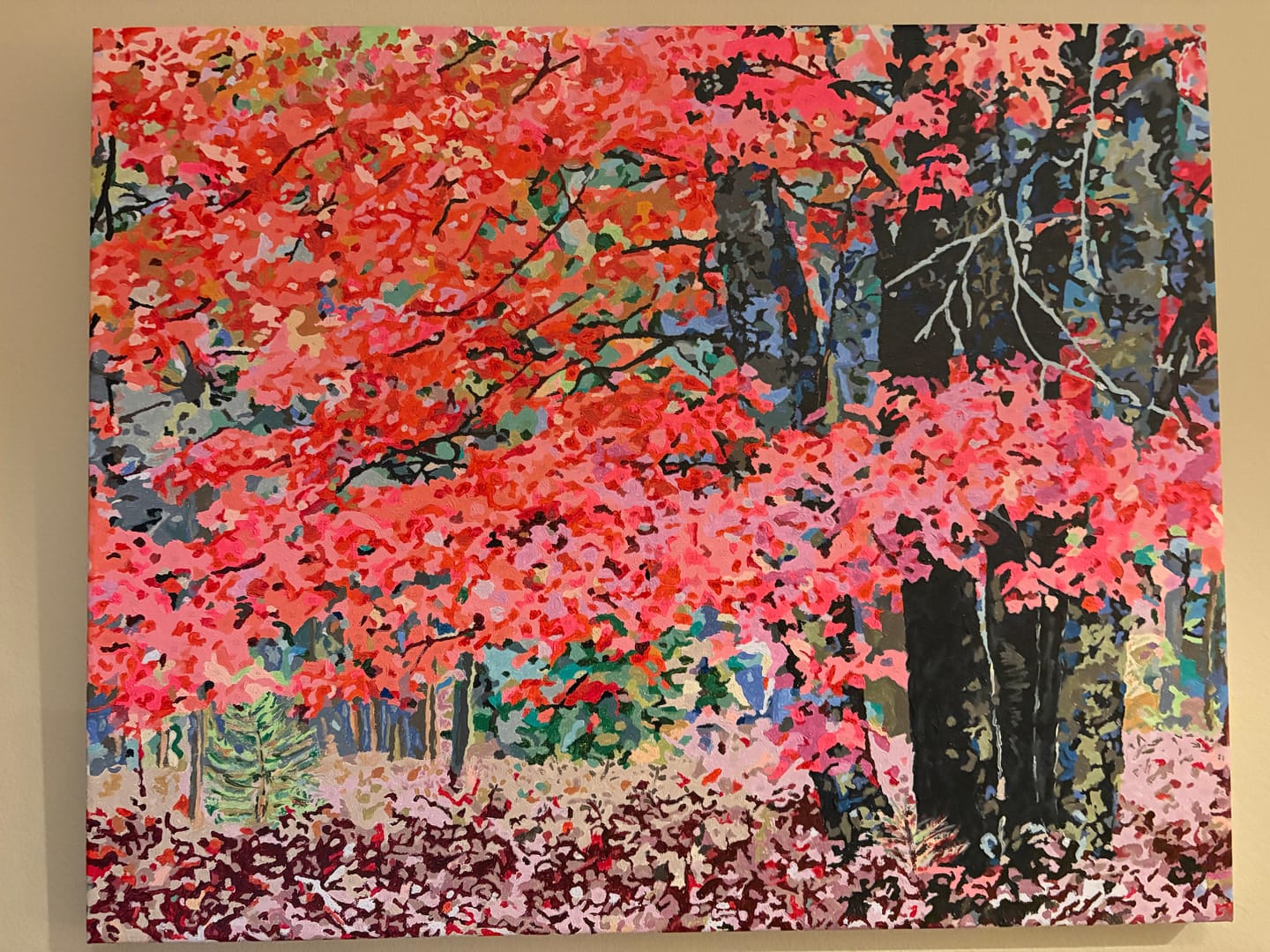 Customer photo review of CUSTOM PAINT BY NUMBER KIT
