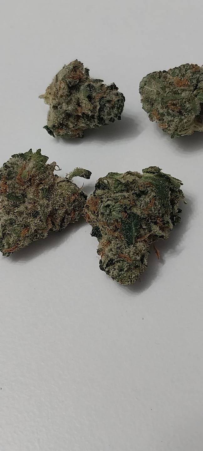 Customer photo review of Georgia Pie THCA Flower (Budget)