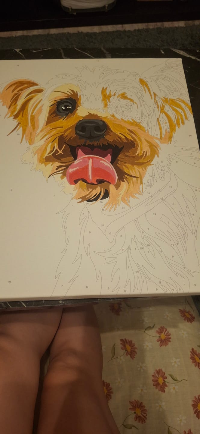 Customer photo review of Kişiye Özel Evcil Hayvan Sayılarla Boyama Seti 35x45 cm