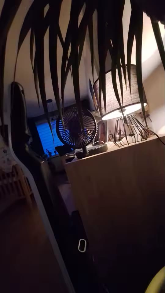 Customer photo review of Ventilateur Sans-Fil Rechargeable