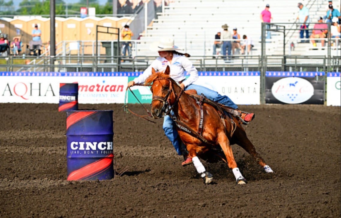 Customer photo review of OptiWize Collagen +Plus Horse Joint Supplement