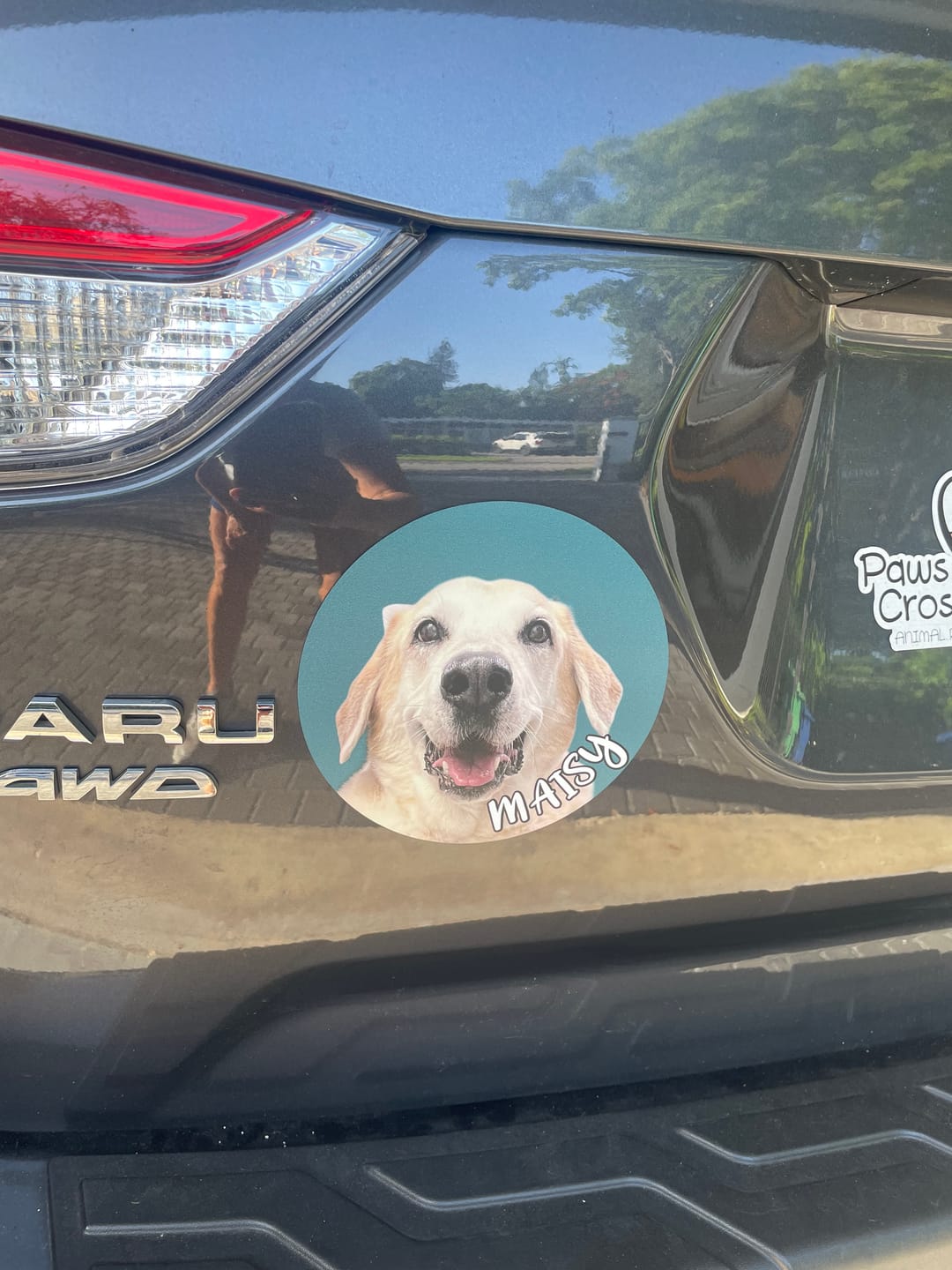 Customer photo review of Your photo - Personalized Car Magnet