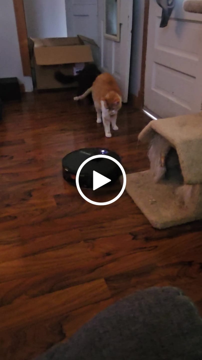 Customer video review of Maintenance Kit for Robot Vacuum V8 Pro