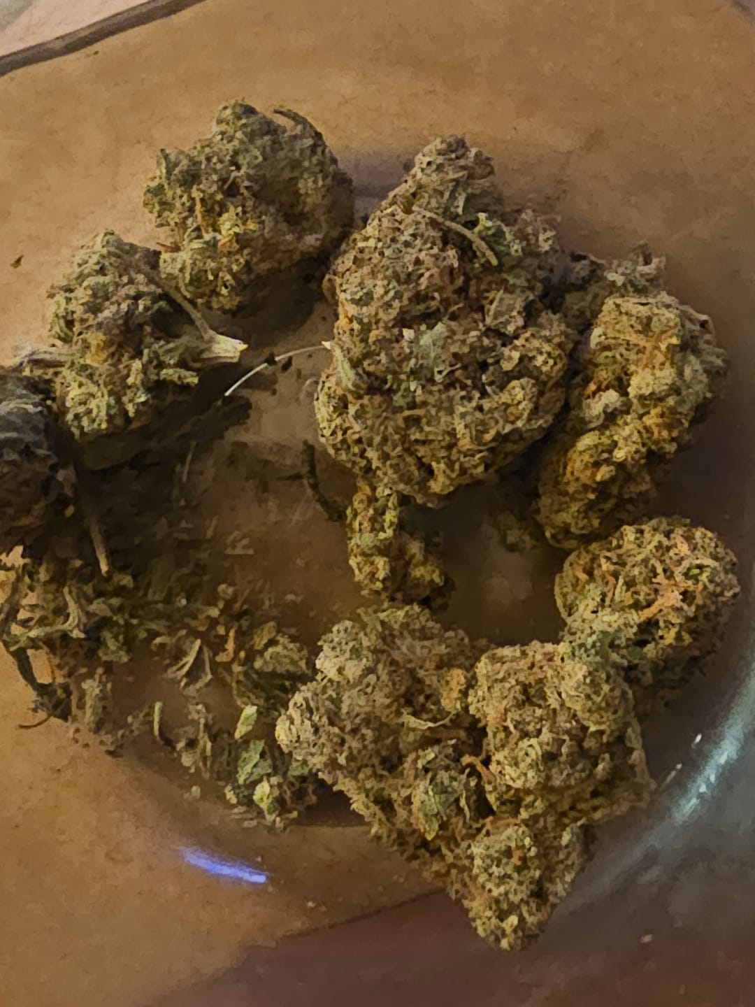 Customer photo review of Jack Herer - Indoor - 14 Grams - Sativa