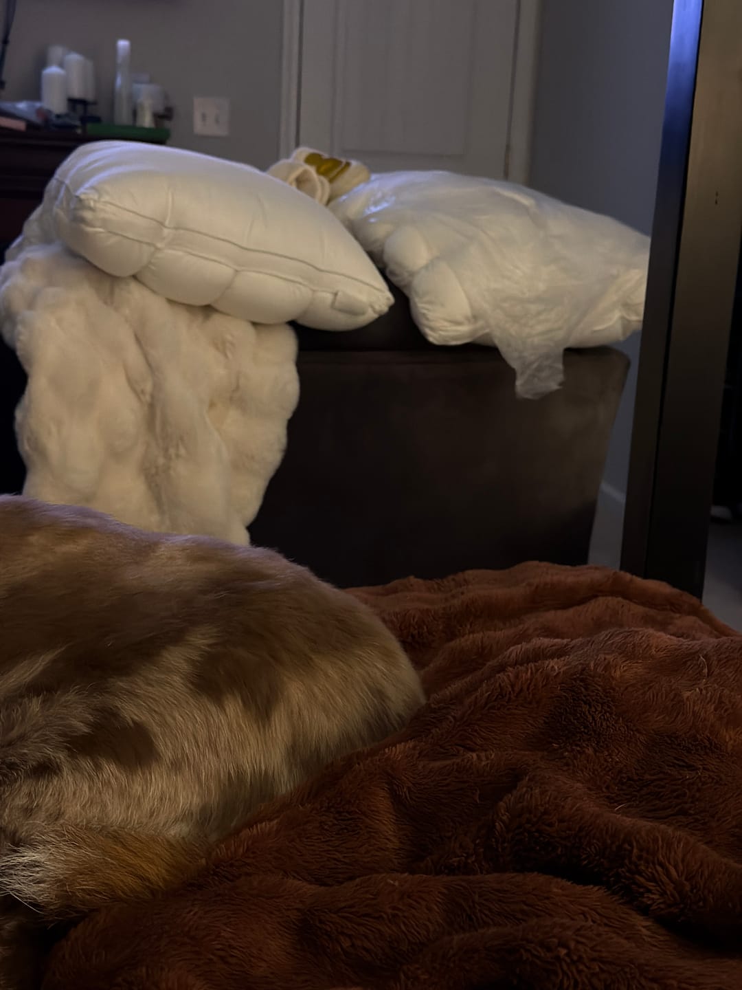 Customer photo review of Cooling Pillowcases (2-Pack)