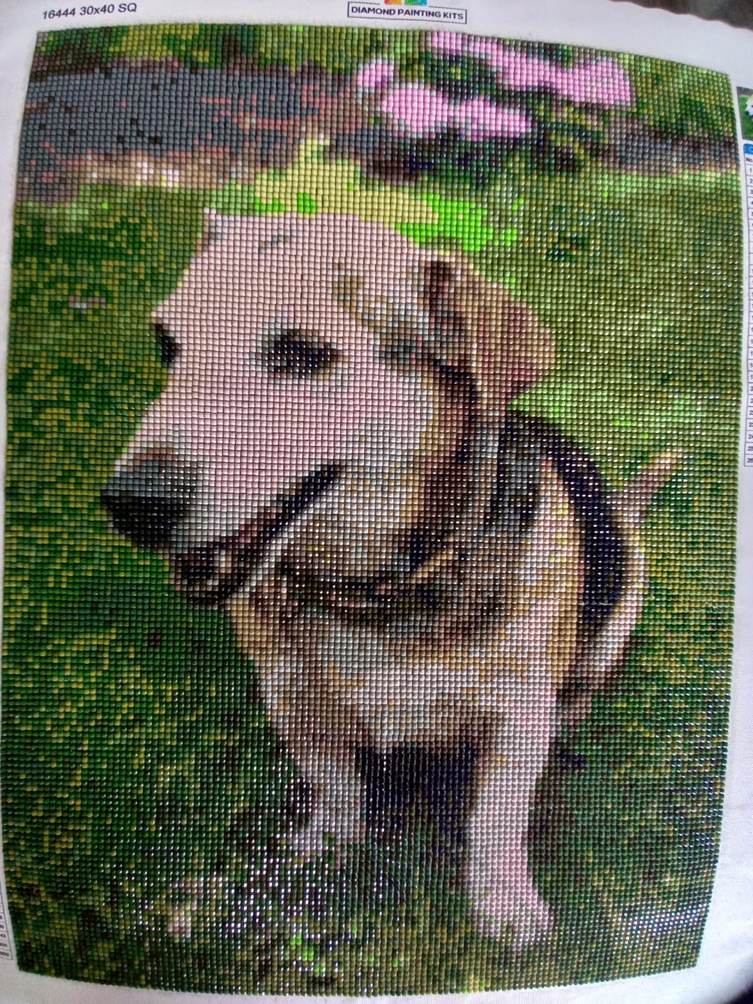 Customer photo review of Diamond Painting Eigen Foto (New)