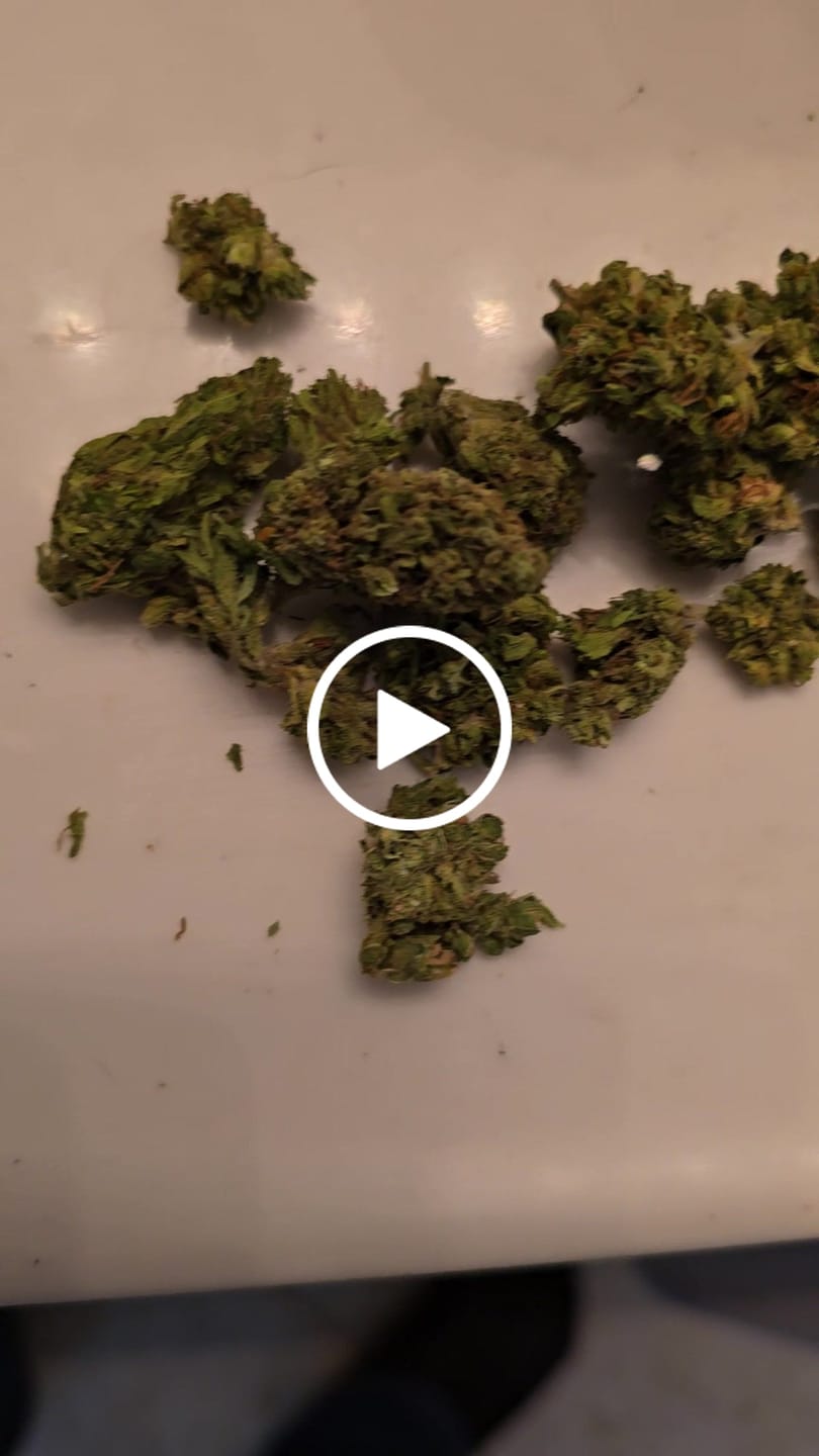 Customer video review of Green Crack - 28 Grams - Sativa