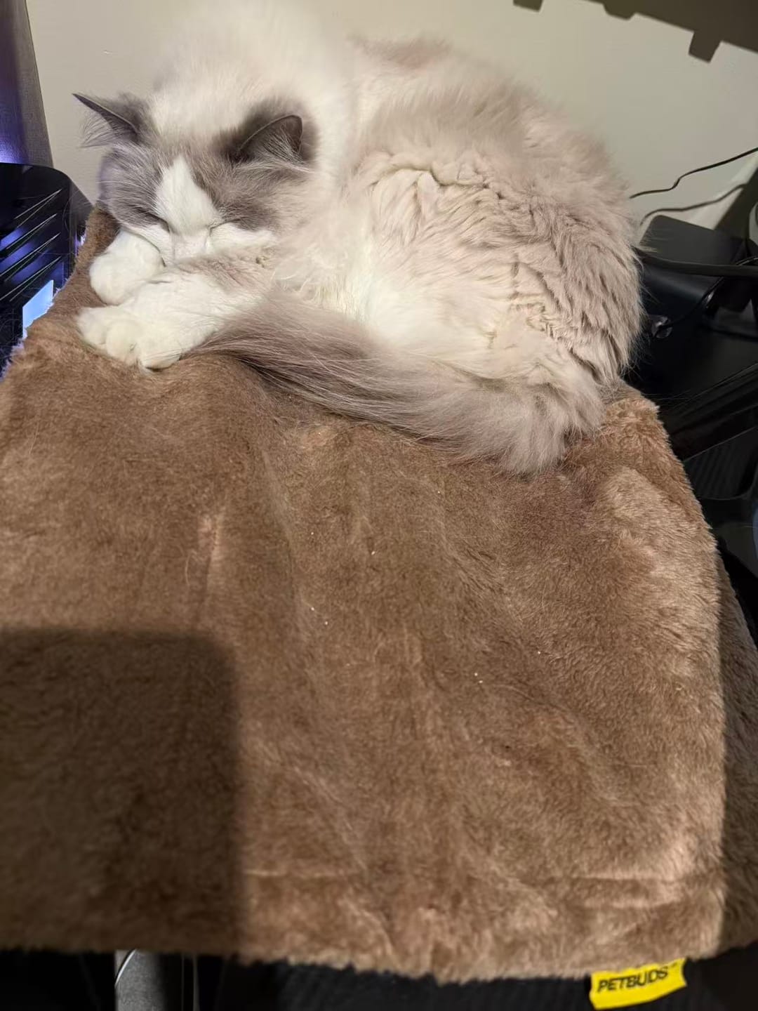 Customer photo review of Petbuds Self-Heating Pet Pad