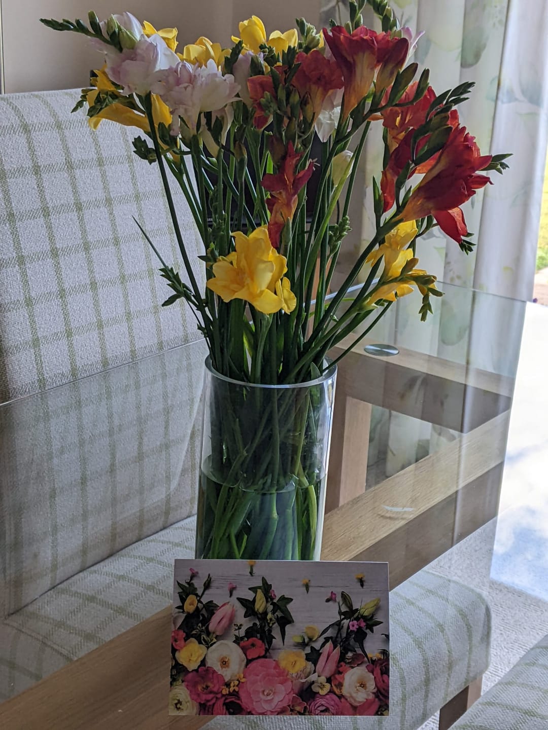Customer photo review of Mixed Guernsey Long Stem Freesia Flowers
