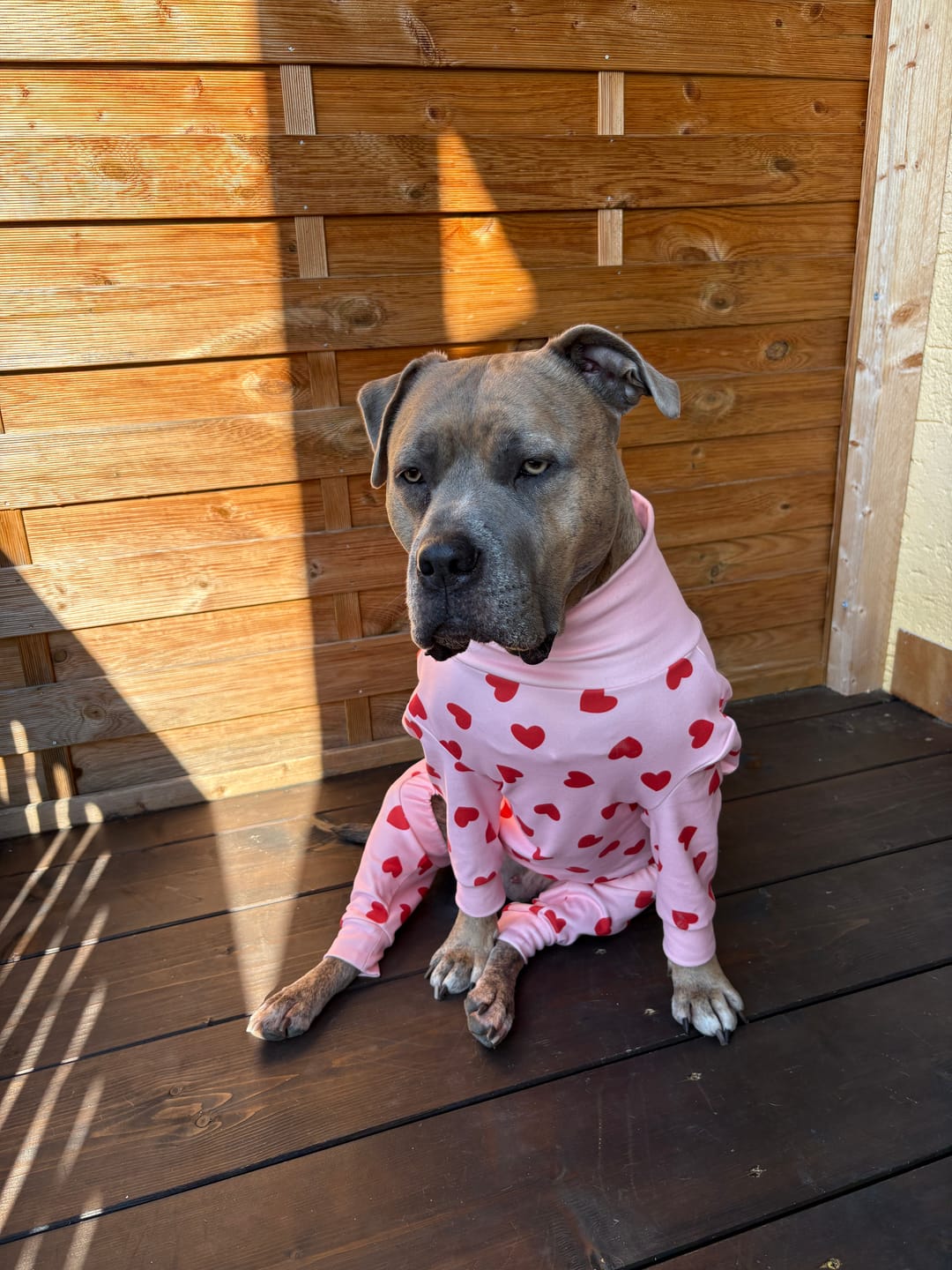 Customer photo review of Dog Pajama - Pink Hearts