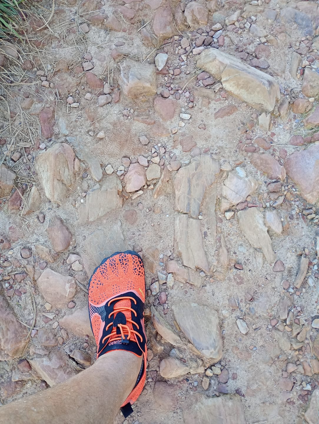 Customer photo review of Fast Ⅰ - Barefoot Shoes