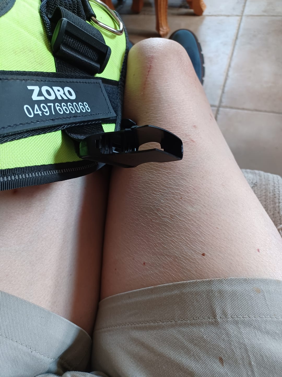 Customer photo review of PawGuard - Gepersonaliseerd Hondentuigje