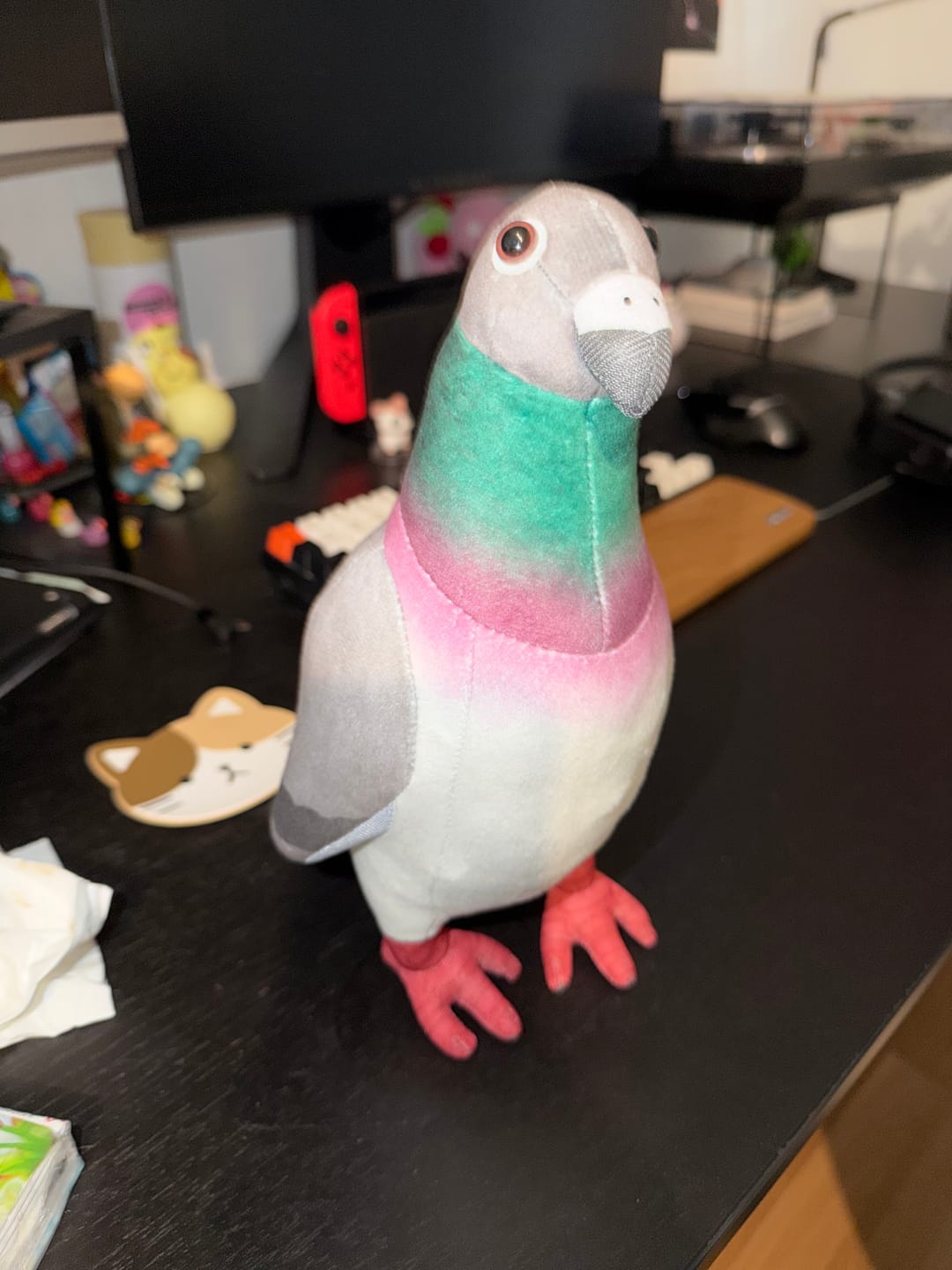 Customer photo review of Common Pigeon Bird Soft Stuffed Plush Toy