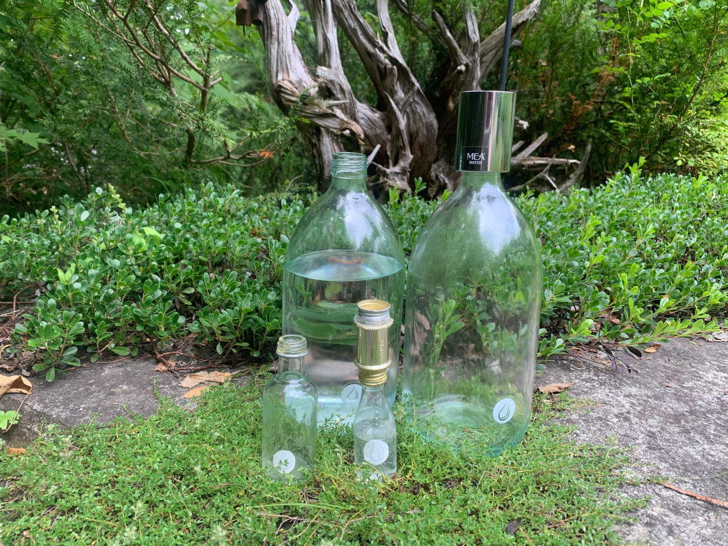 Customer photo review of APOLLO GOLD Portable