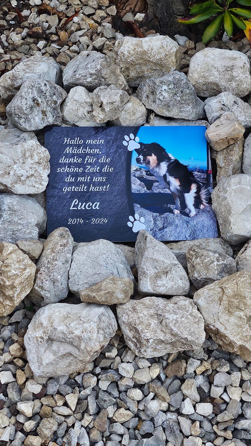 Customer photo review of Hunde Gedenktafel mit Foto & Spruch (UV- & Wetterfest)
