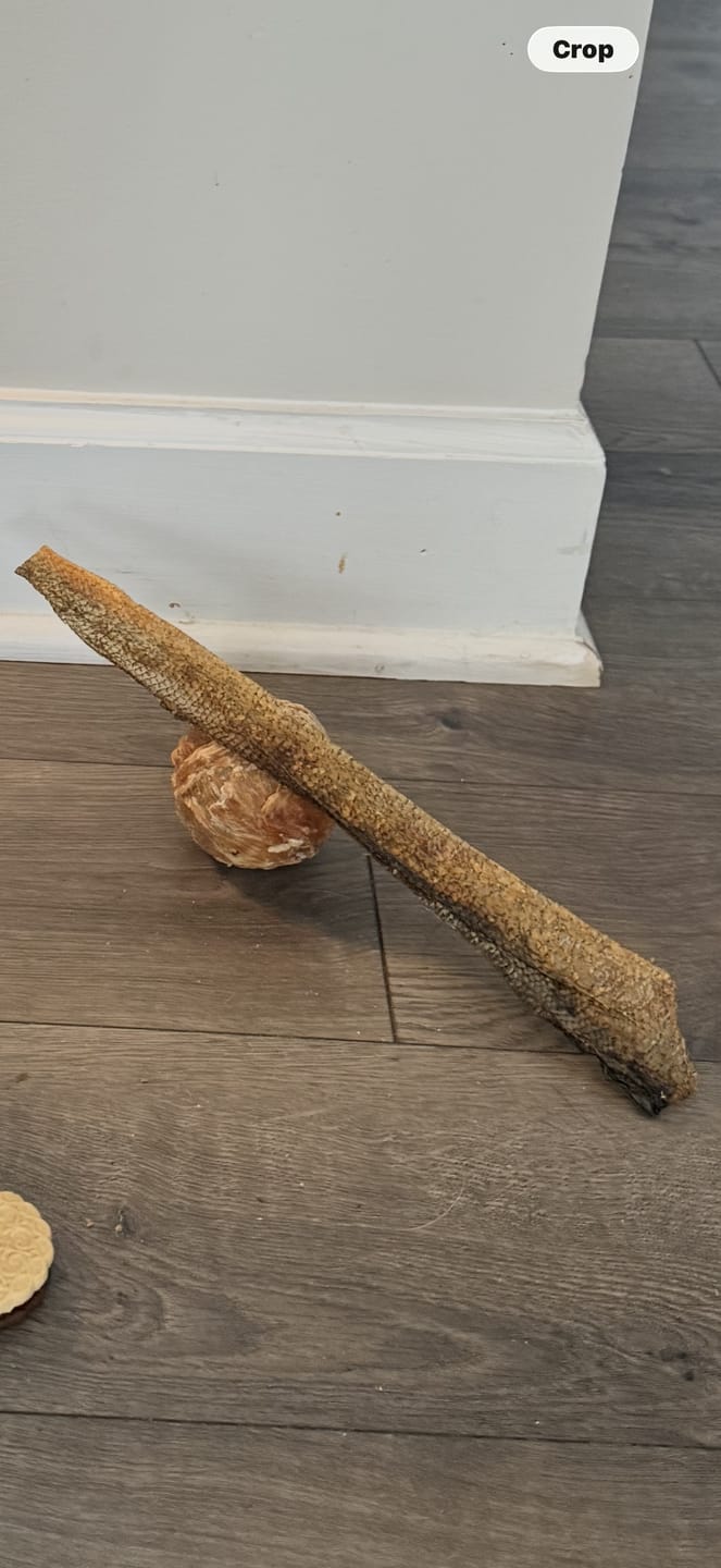 Customer photo review of Walleye Skins
