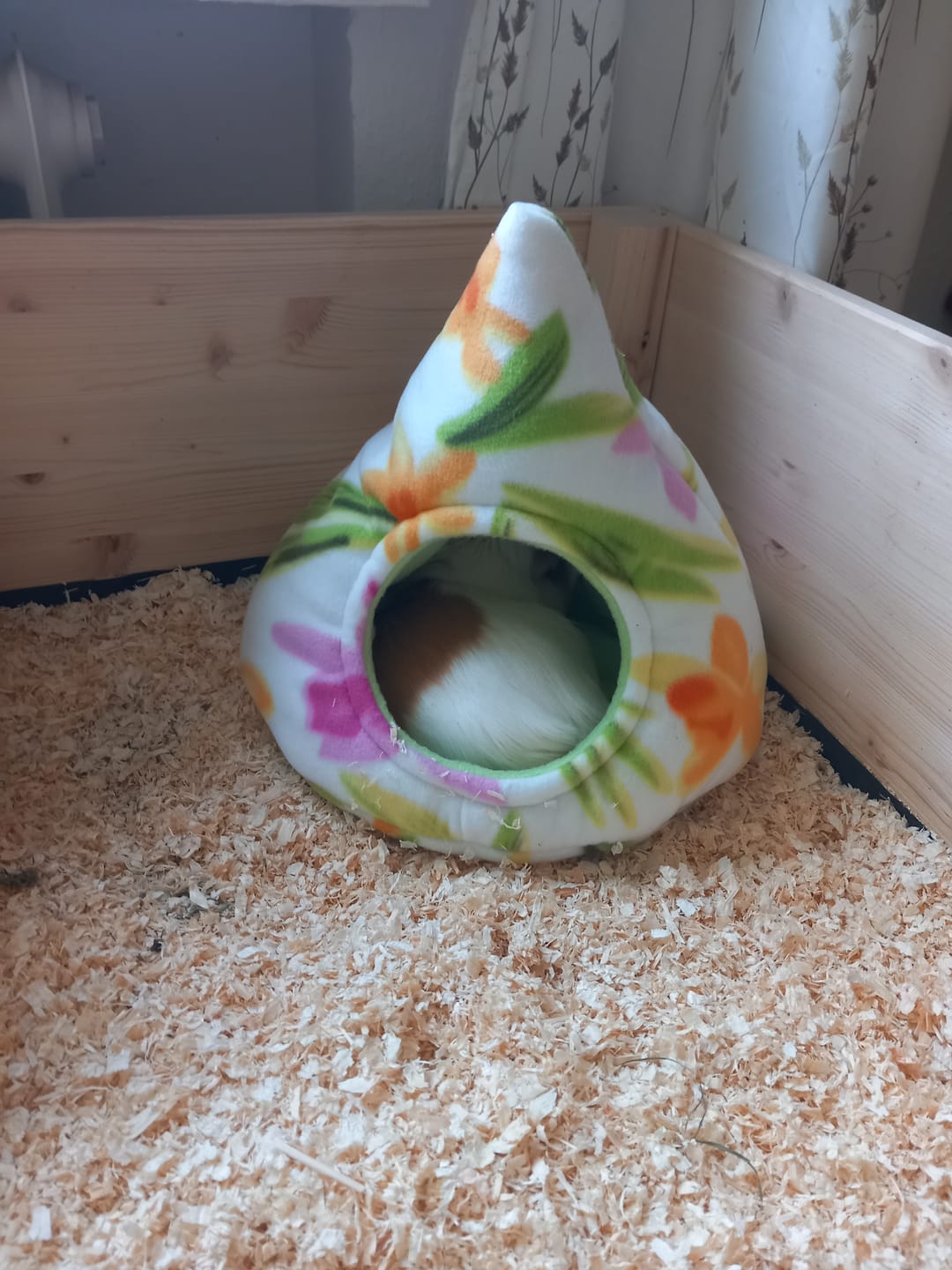 Customer photo review of 👑Luxus-Auszeit – Verwöhnset für Meerschweinchen