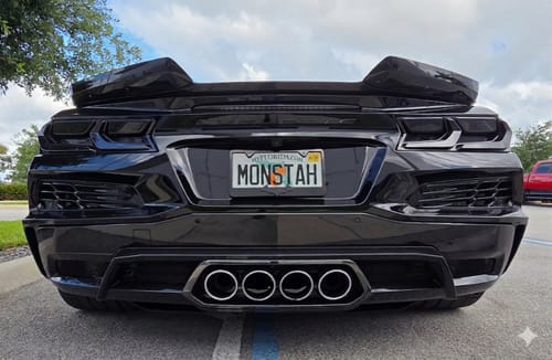 Customer photo review of Corvette C8 Tinted Rear Light Cover